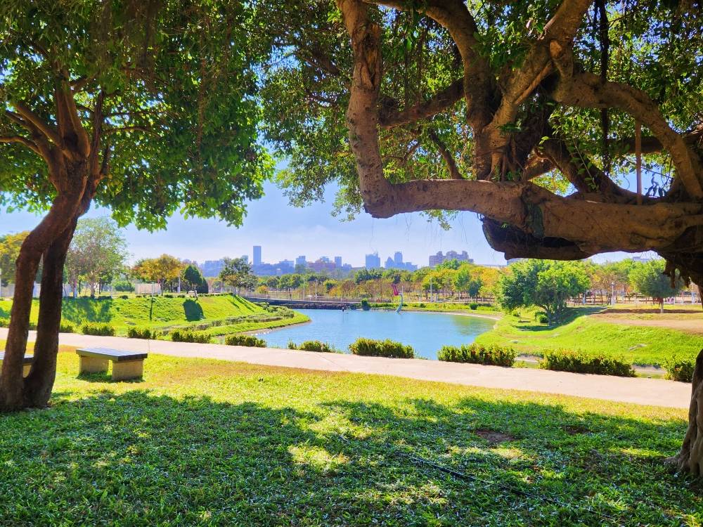 台中中央公園野餐不可不知的絕美地點!導覽、活動、停車資訊一次看 | 戀野時光