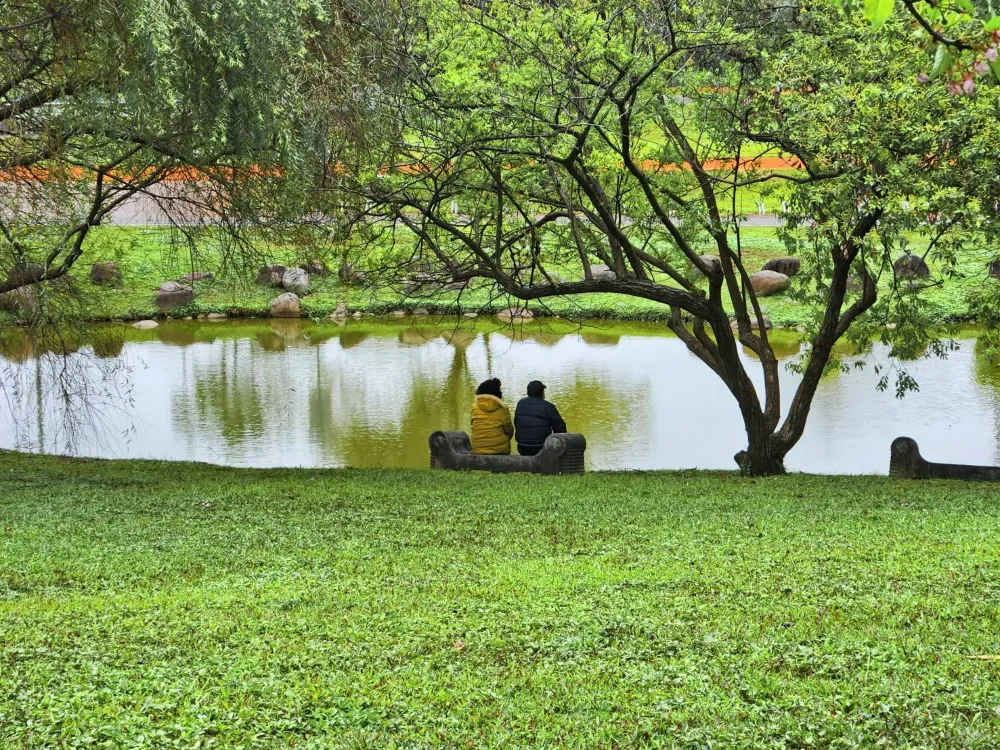 新北賞櫻景點新北陽光運動公園景觀雨水池