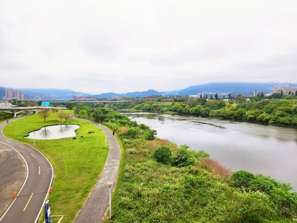 新北賞櫻景點新北陽光運動公園陽光橋風景