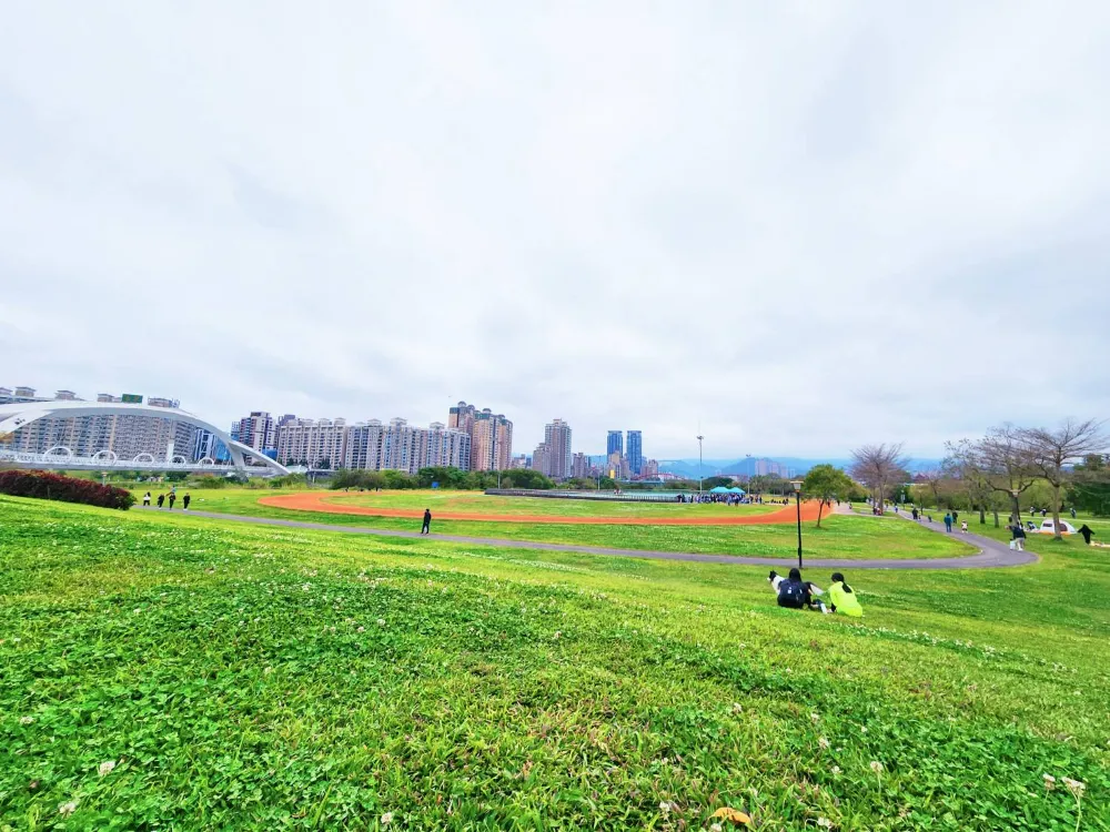 新北賞櫻景點陽光運動公園高處草坡野餐