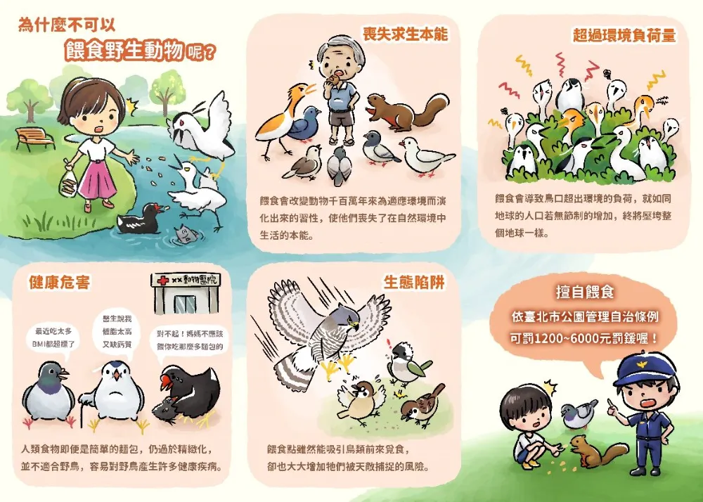 大安森林公園禁止餵食野生動物