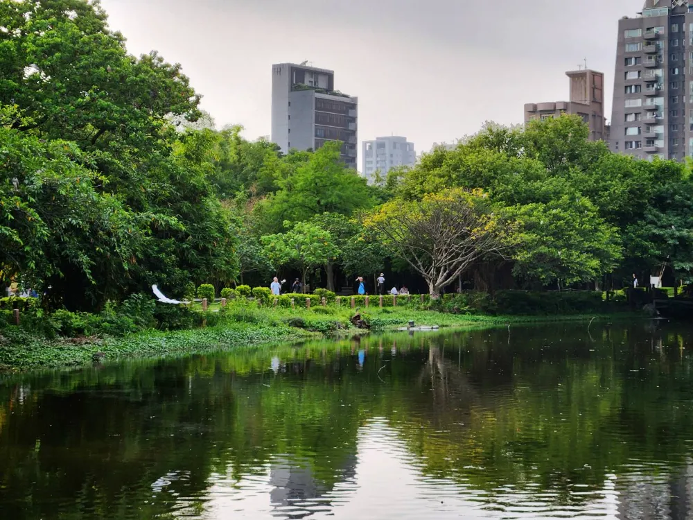 大安森林公園生態水池