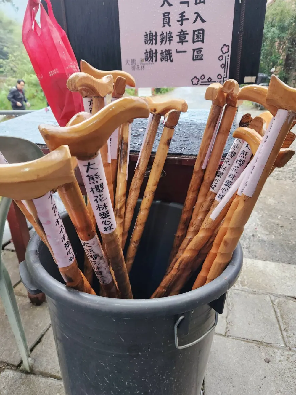 大熊櫻花林愛心杖