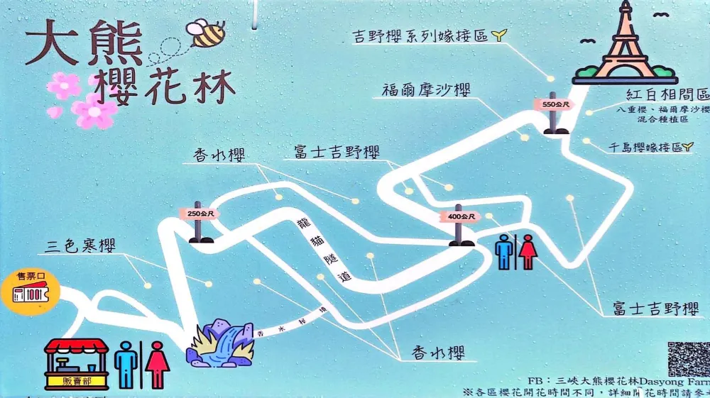 大熊櫻花林賞櫻地圖