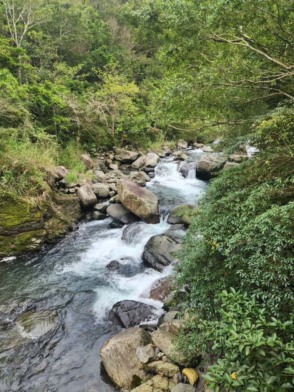 滿月圓國家森林遊樂區蚋仔溪