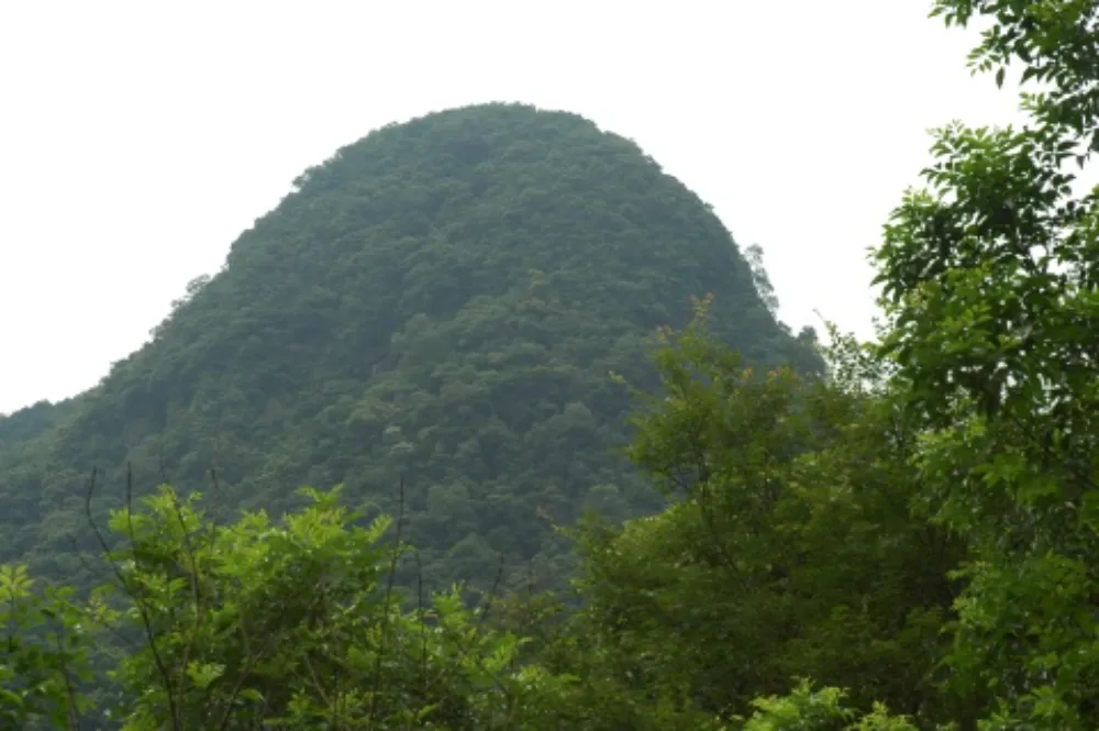 滿月圓國家森林遊樂區滿月圓山