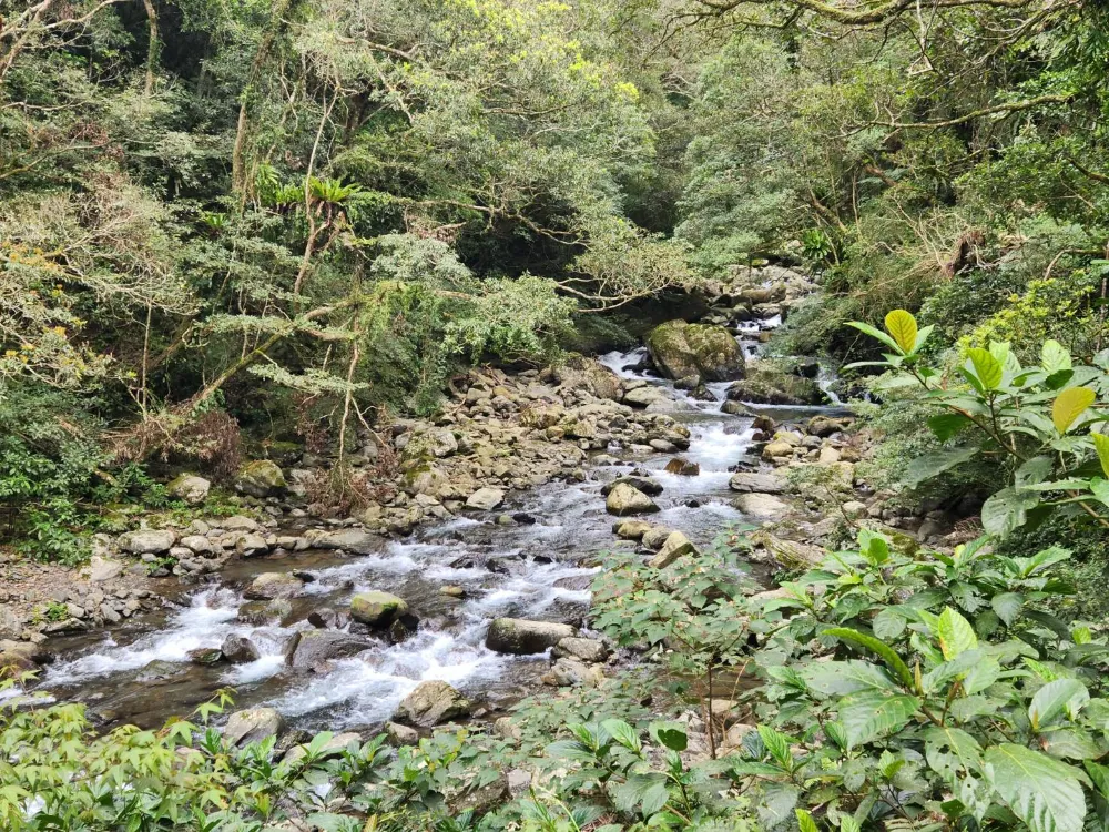 滿月圓國家森林遊樂區蚋仔溪