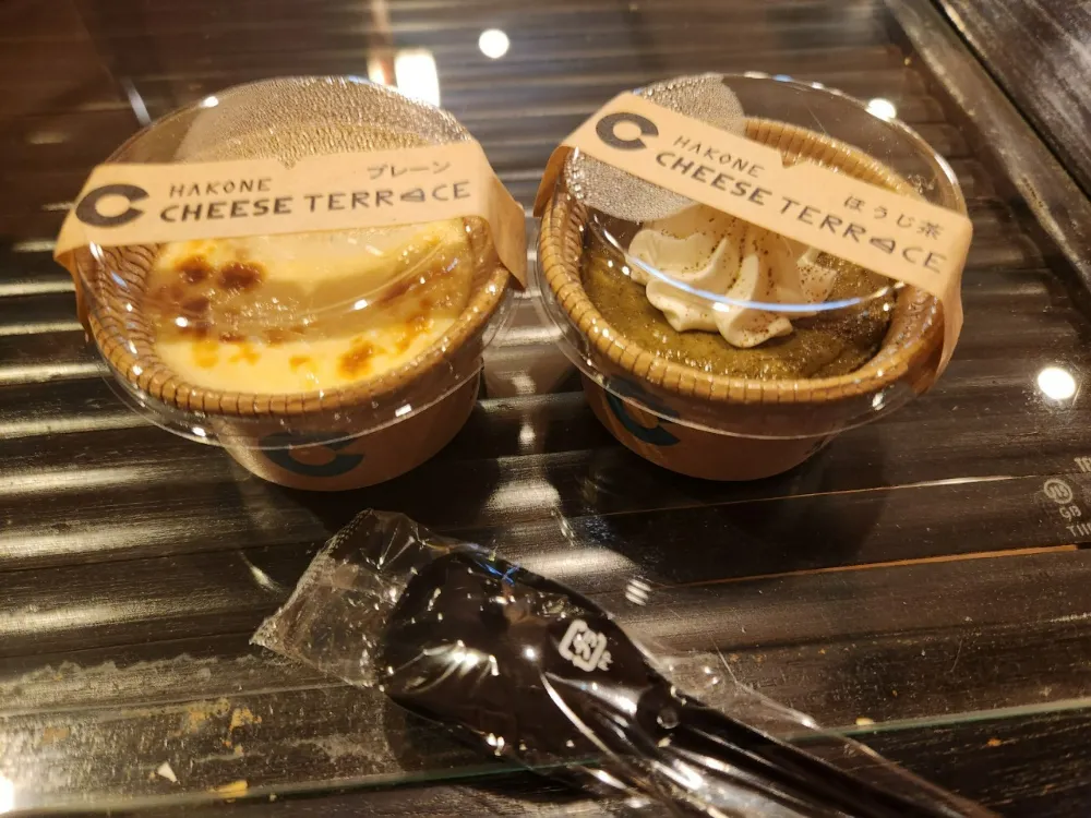 日本箱根自由行必買箱根周遊券