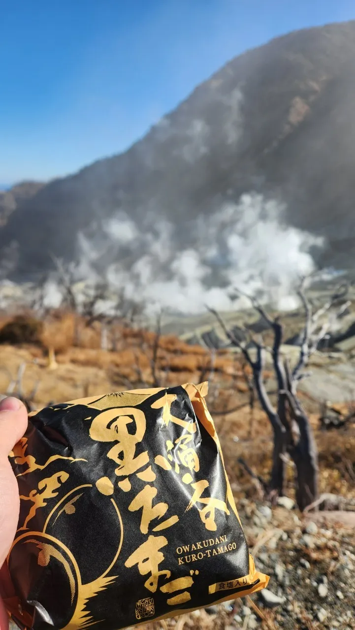 日本箱根景點大涌谷黑蛋