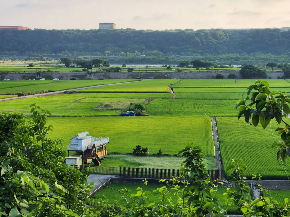 台中外埔景點忘憂谷