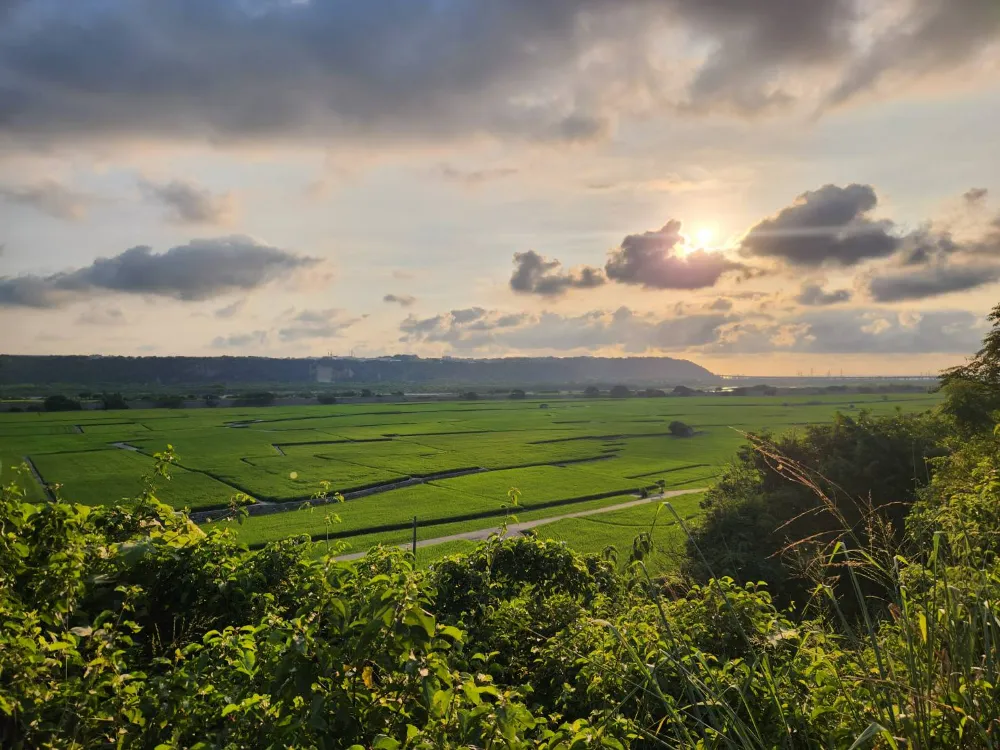 台中外埔景點忘憂谷