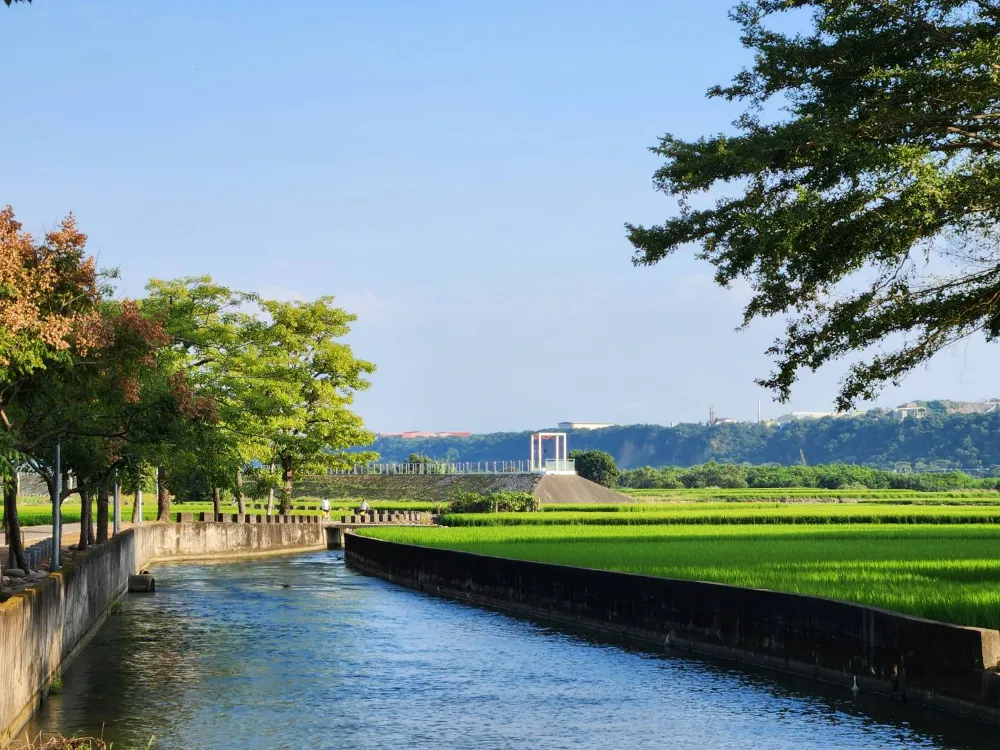 台中外埔景點忘憂谷