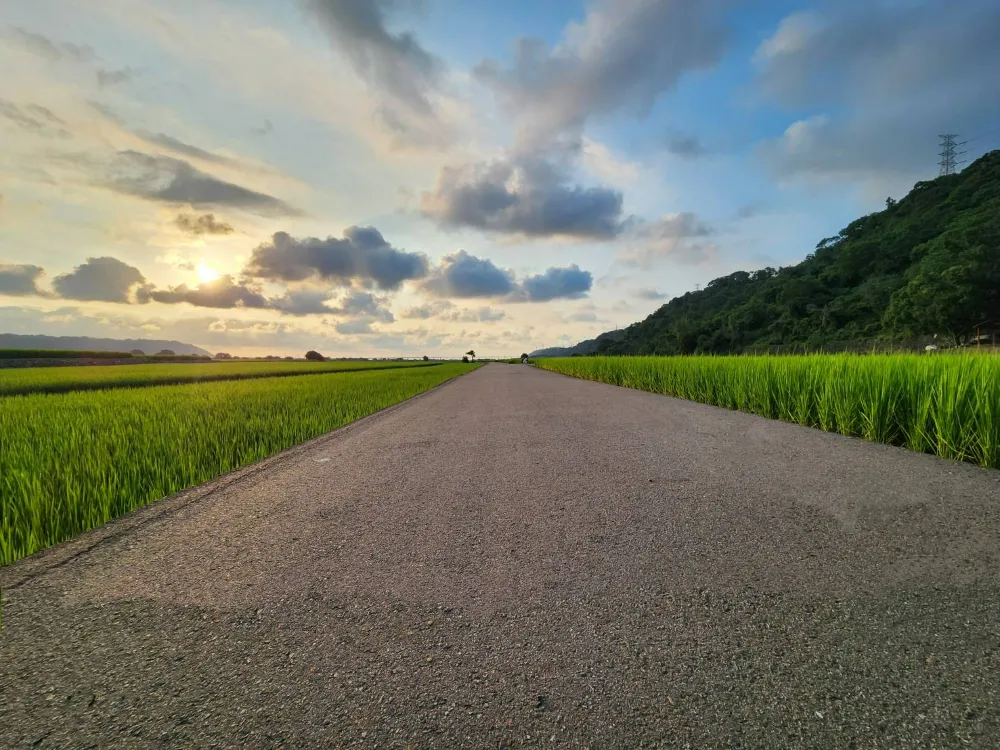台中外埔景點忘憂谷