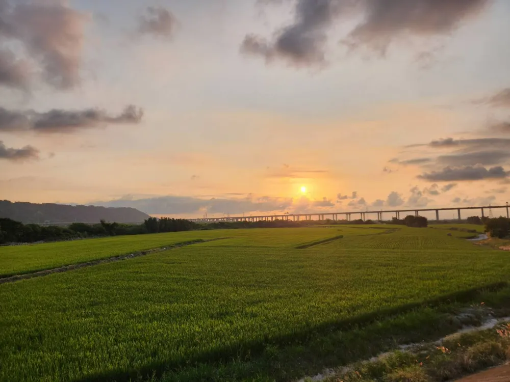 台中外埔景點忘憂谷