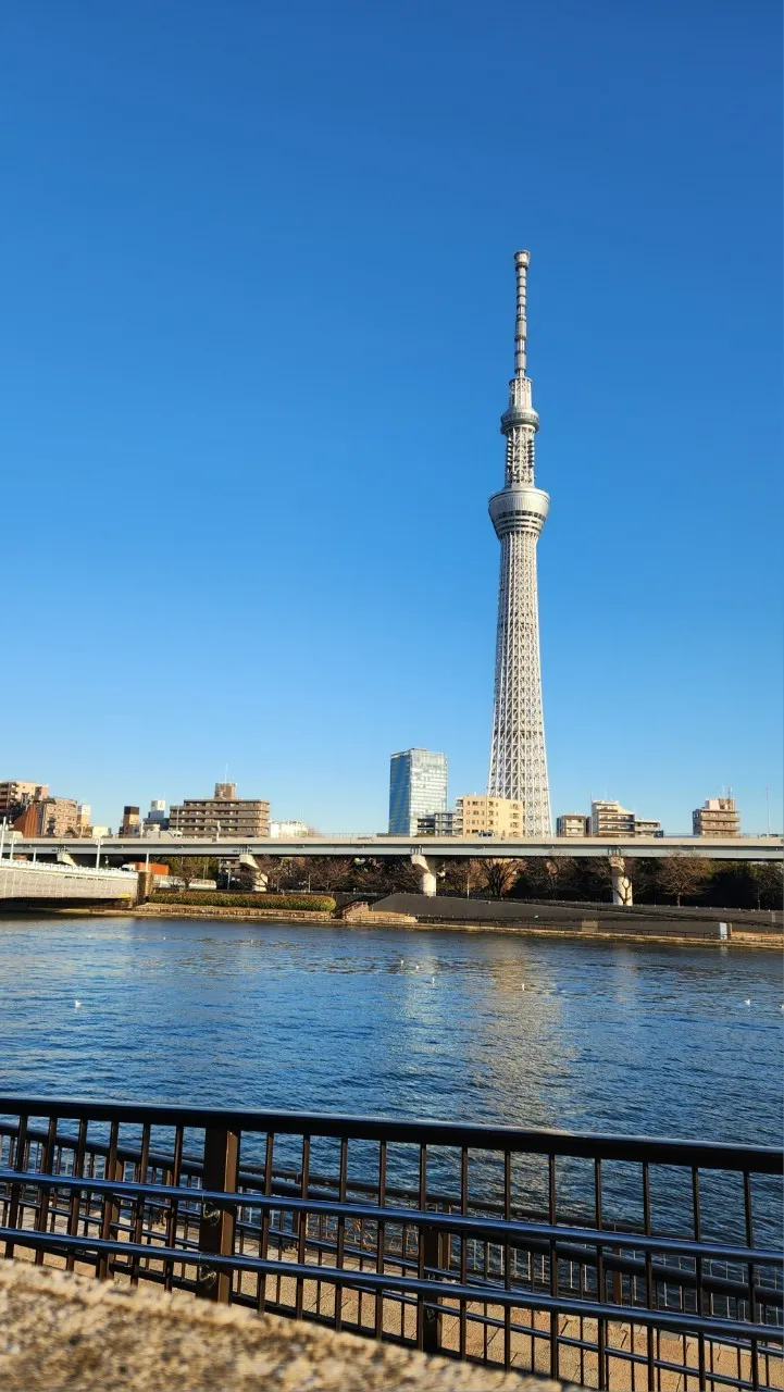 東京淺草自由行景點隅田公園
