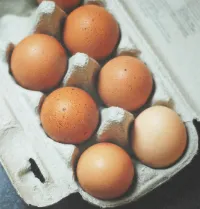 優格水果沙拉食材雞蛋