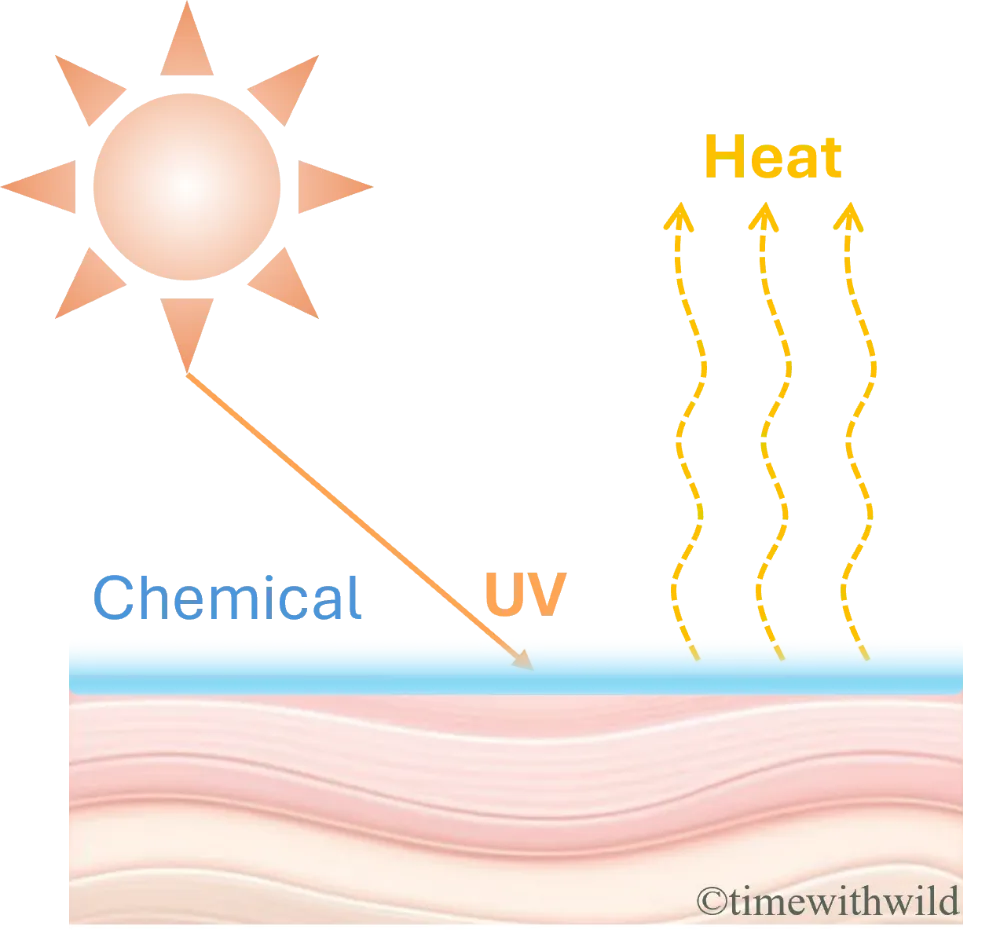 化學性防曬透過吸收紫外線轉化為熱能防曬